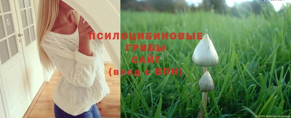 мдма Богородицк