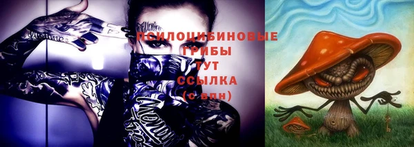 гашик Балабаново